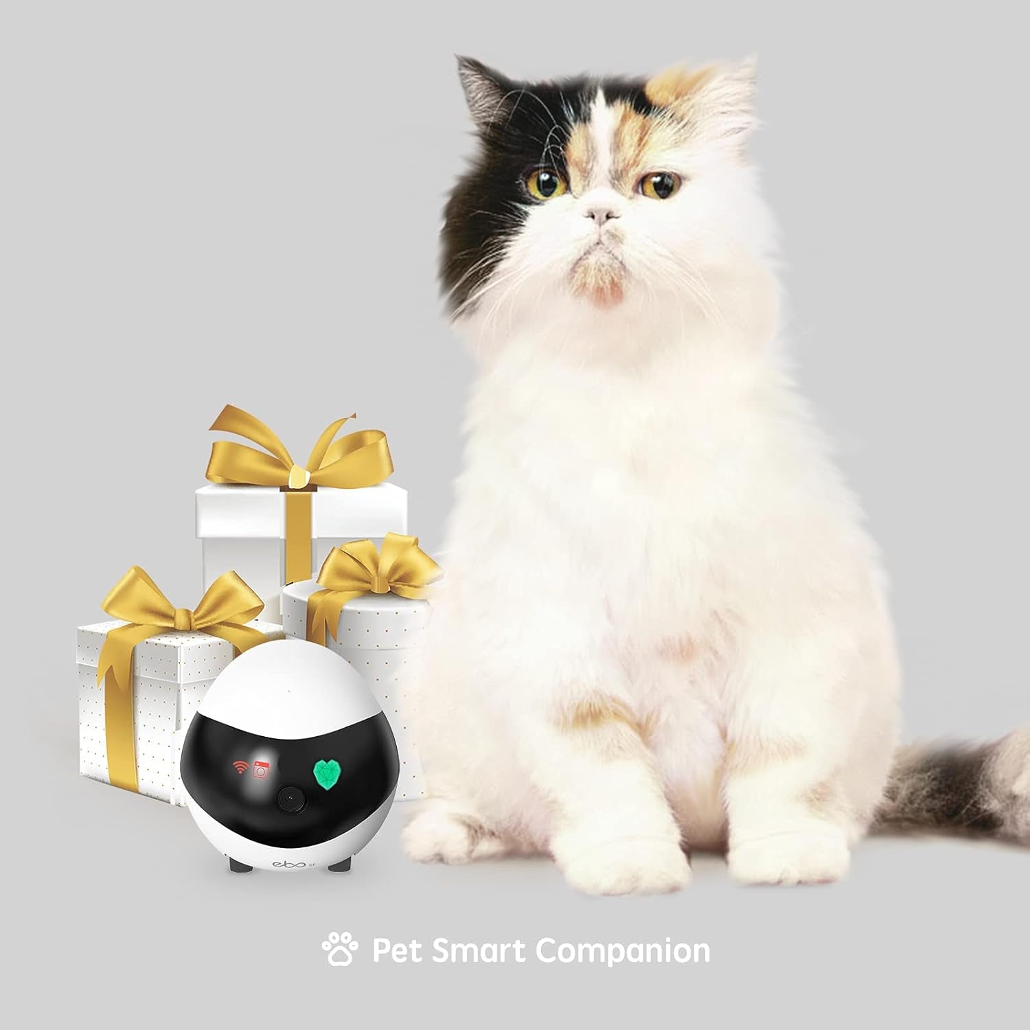 SE Familybot 1080P Smart Pet Camera Robot